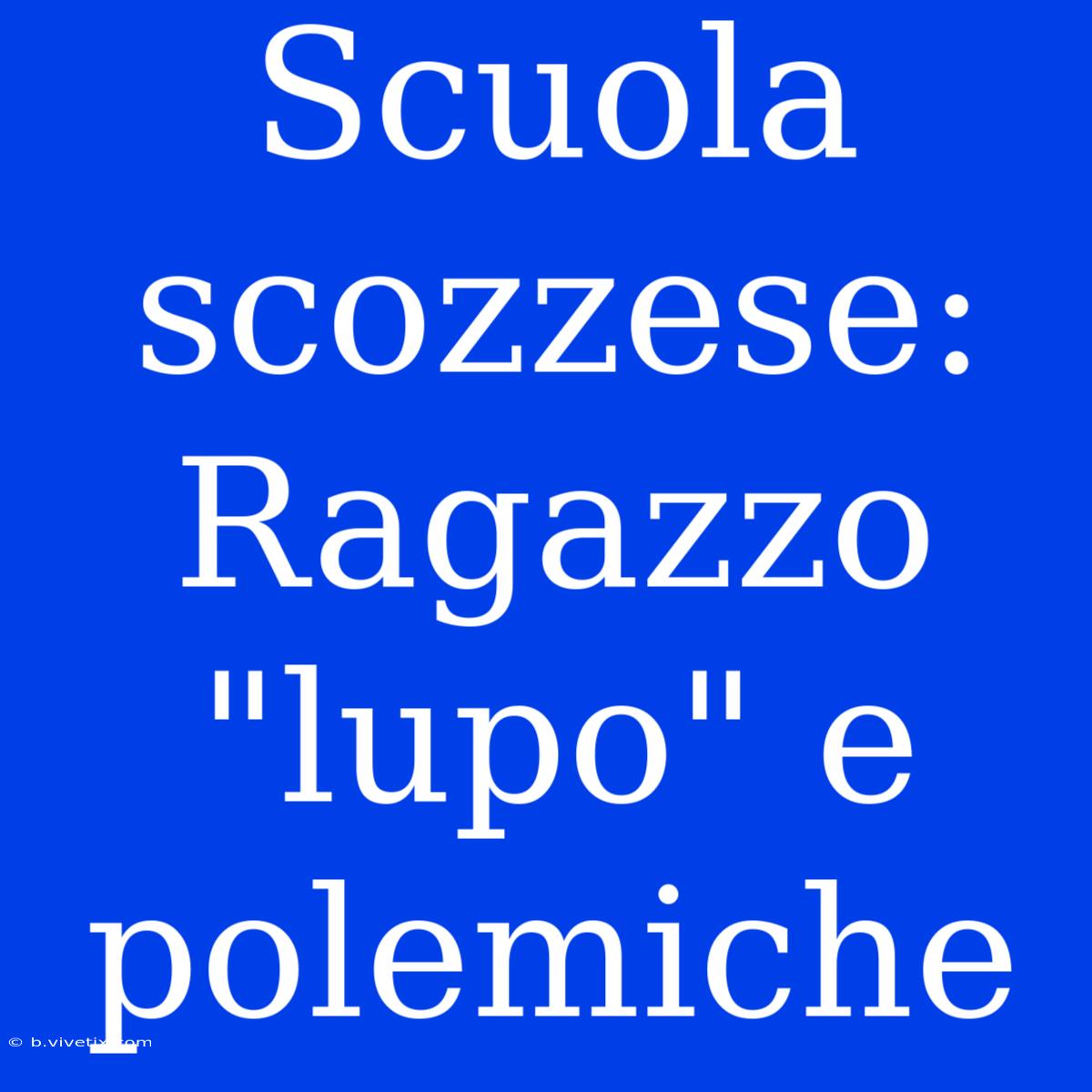 Scuola Scozzese: Ragazzo 