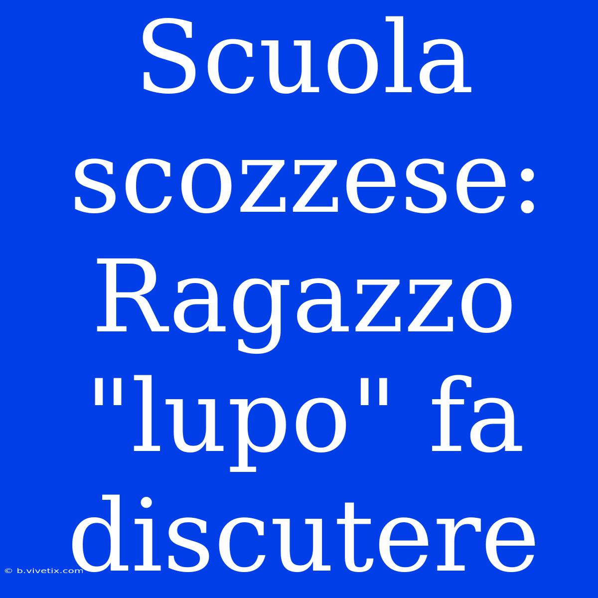 Scuola Scozzese: Ragazzo 