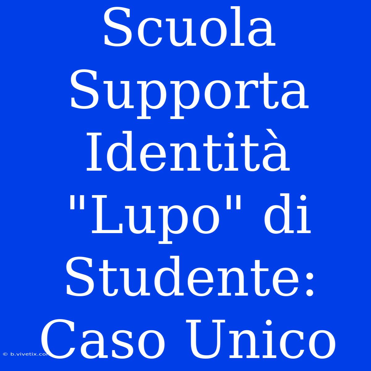 Scuola Supporta Identità 