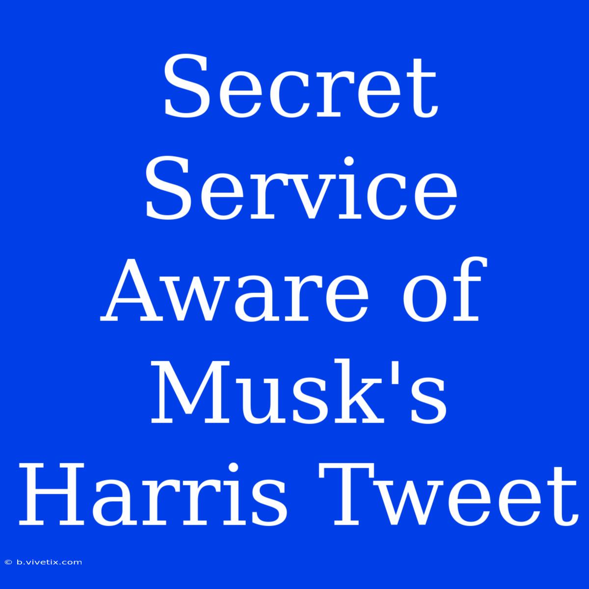 Secret Service Aware Of Musk's Harris Tweet