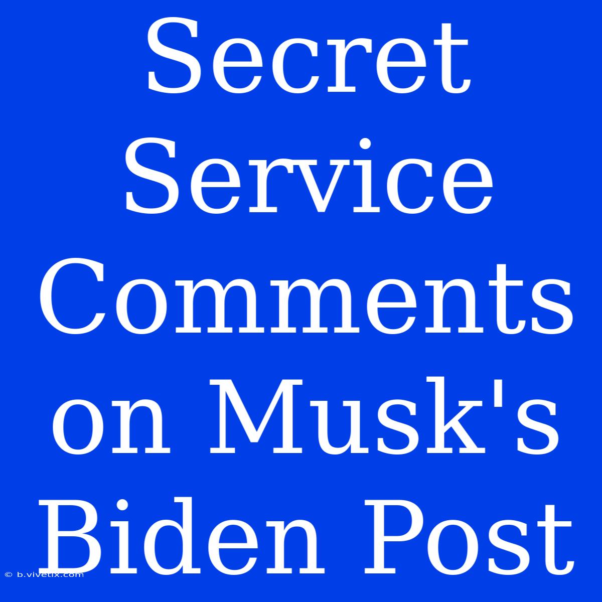 Secret Service Comments On Musk's Biden Post