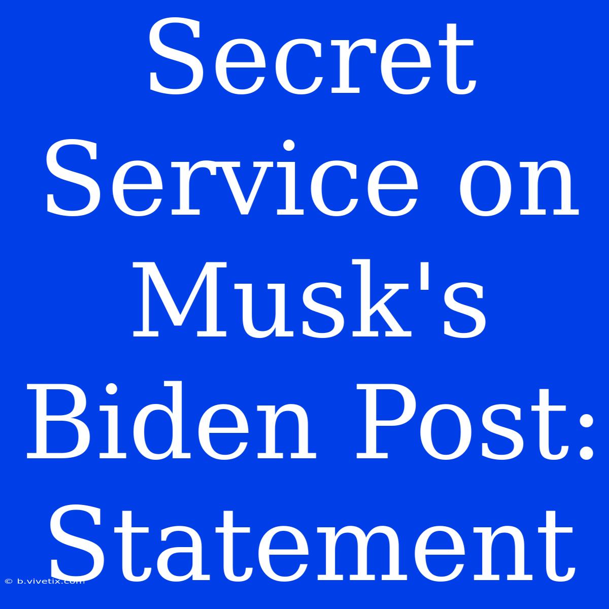 Secret Service On Musk's Biden Post: Statement