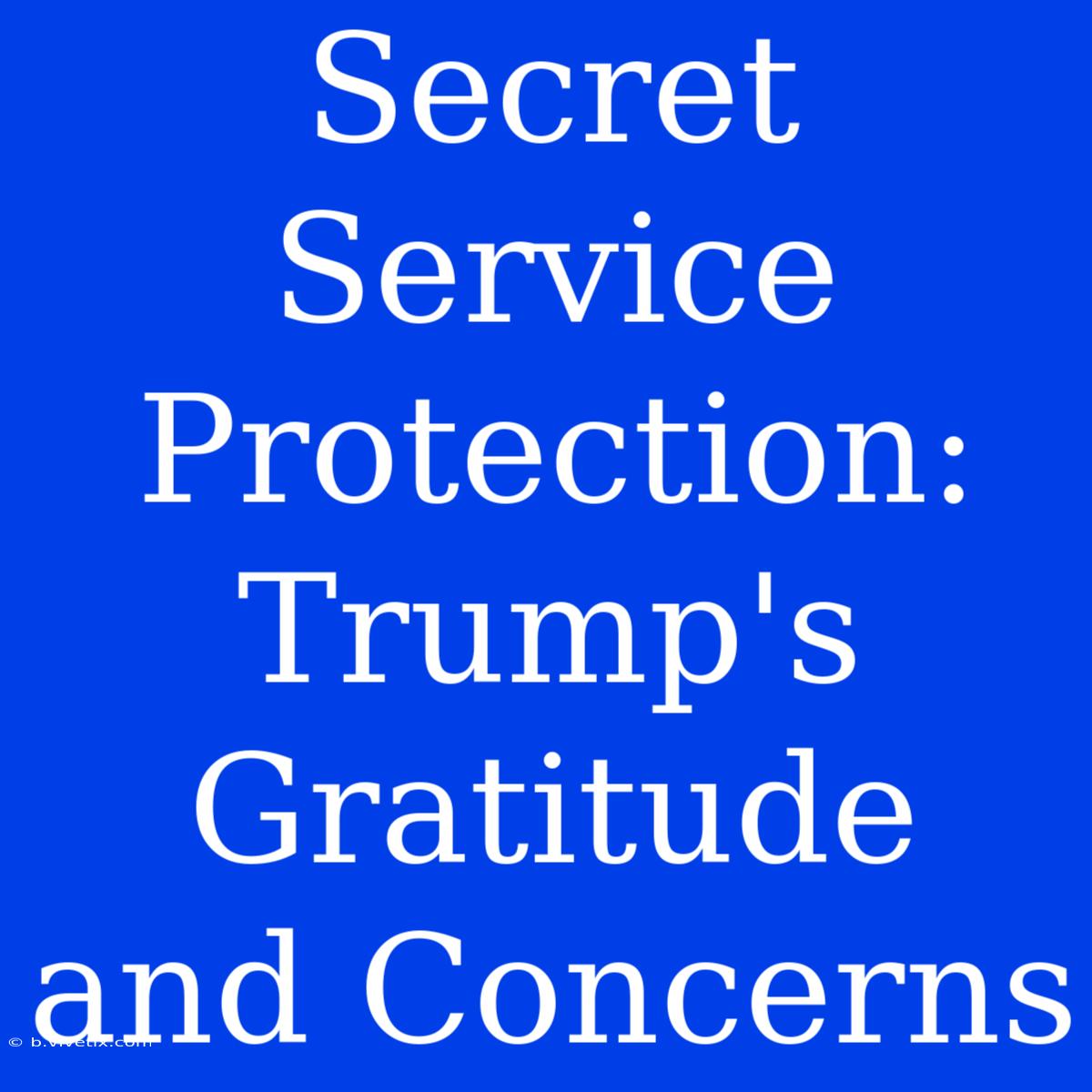 Secret Service Protection: Trump's Gratitude And Concerns