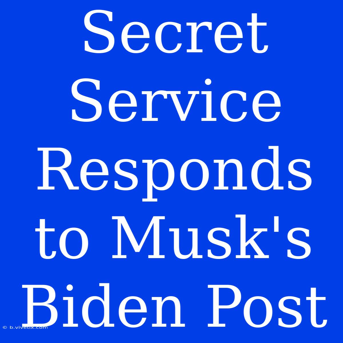 Secret Service Responds To Musk's Biden Post