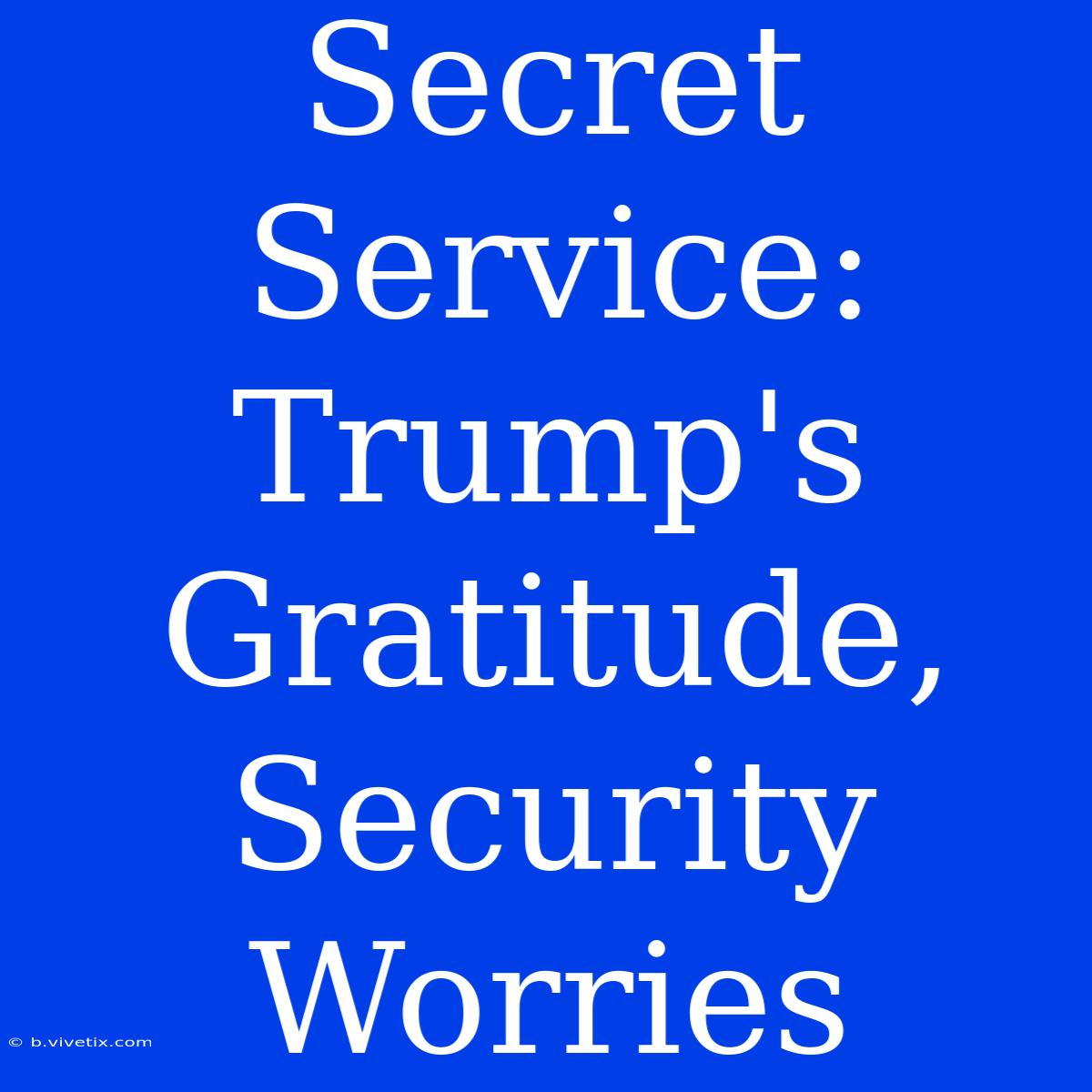 Secret Service: Trump's Gratitude, Security Worries