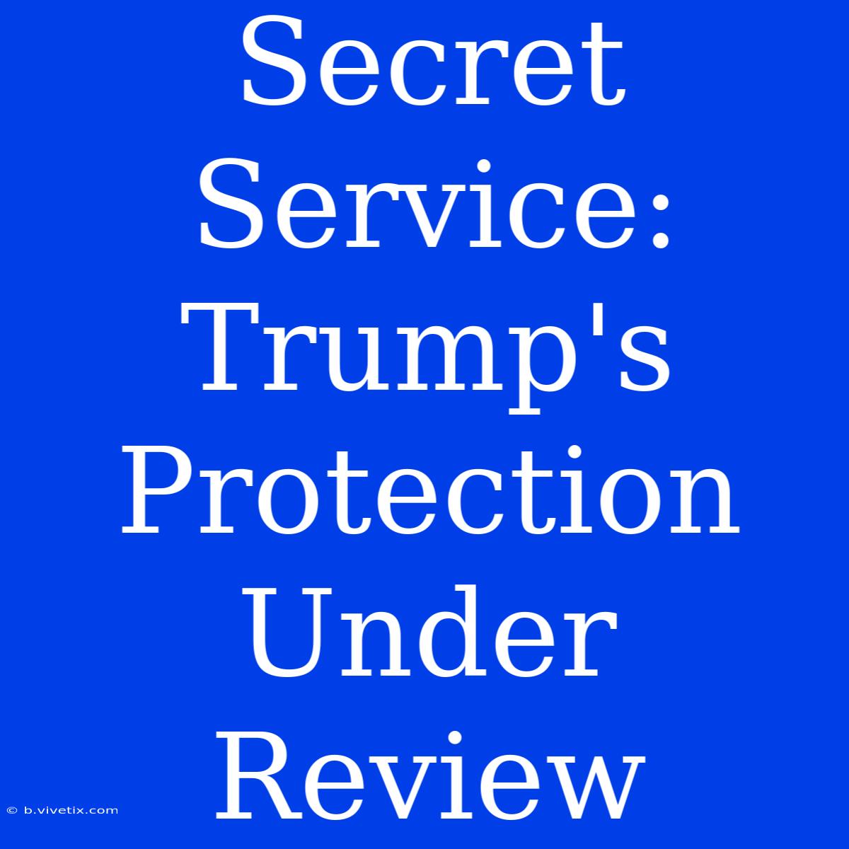 Secret Service: Trump's Protection Under Review 