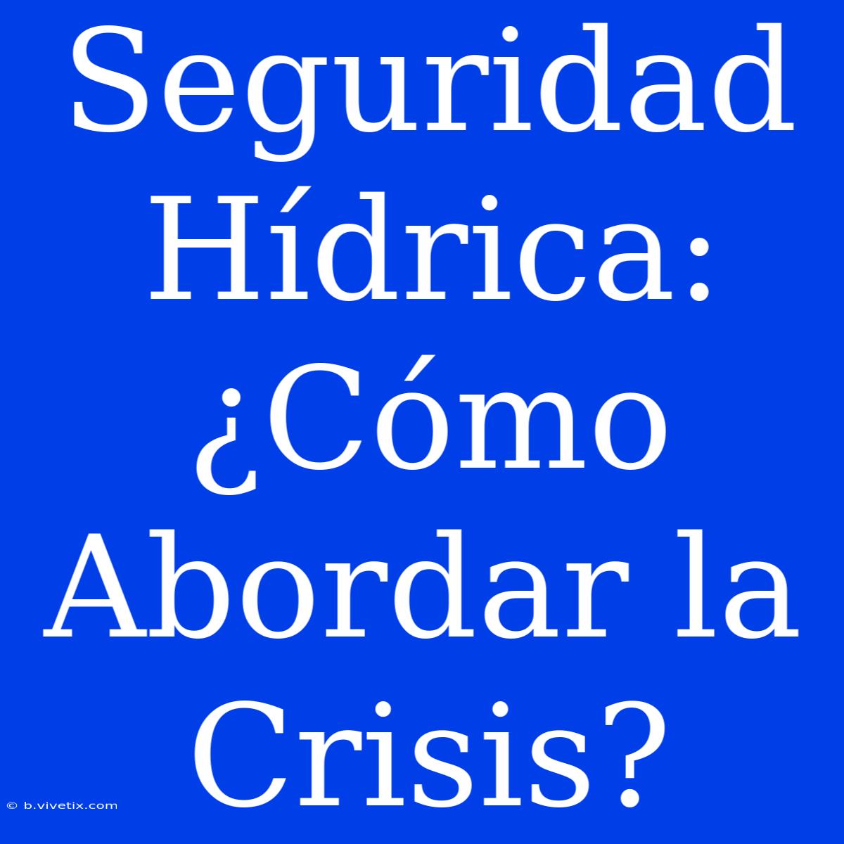 Seguridad Hídrica: ¿Cómo Abordar La Crisis?