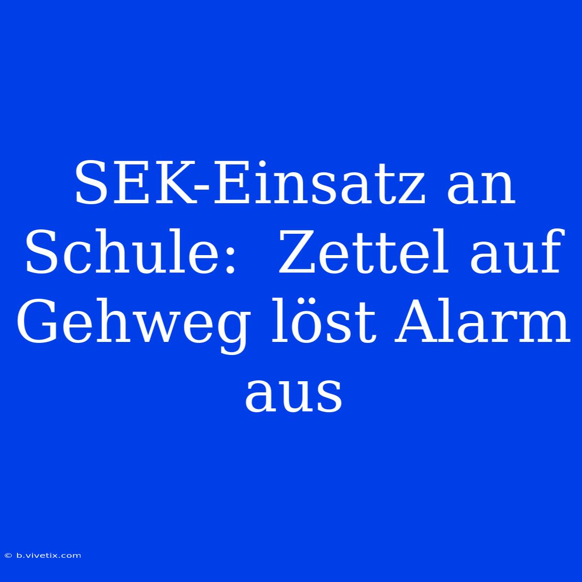 SEK-Einsatz An Schule:  Zettel Auf Gehweg Löst Alarm Aus