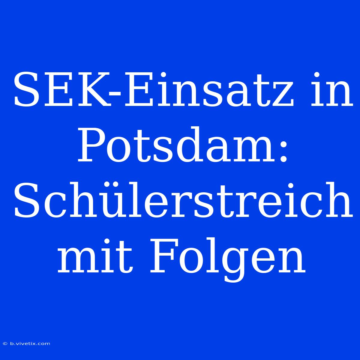 SEK-Einsatz In Potsdam: Schülerstreich Mit Folgen