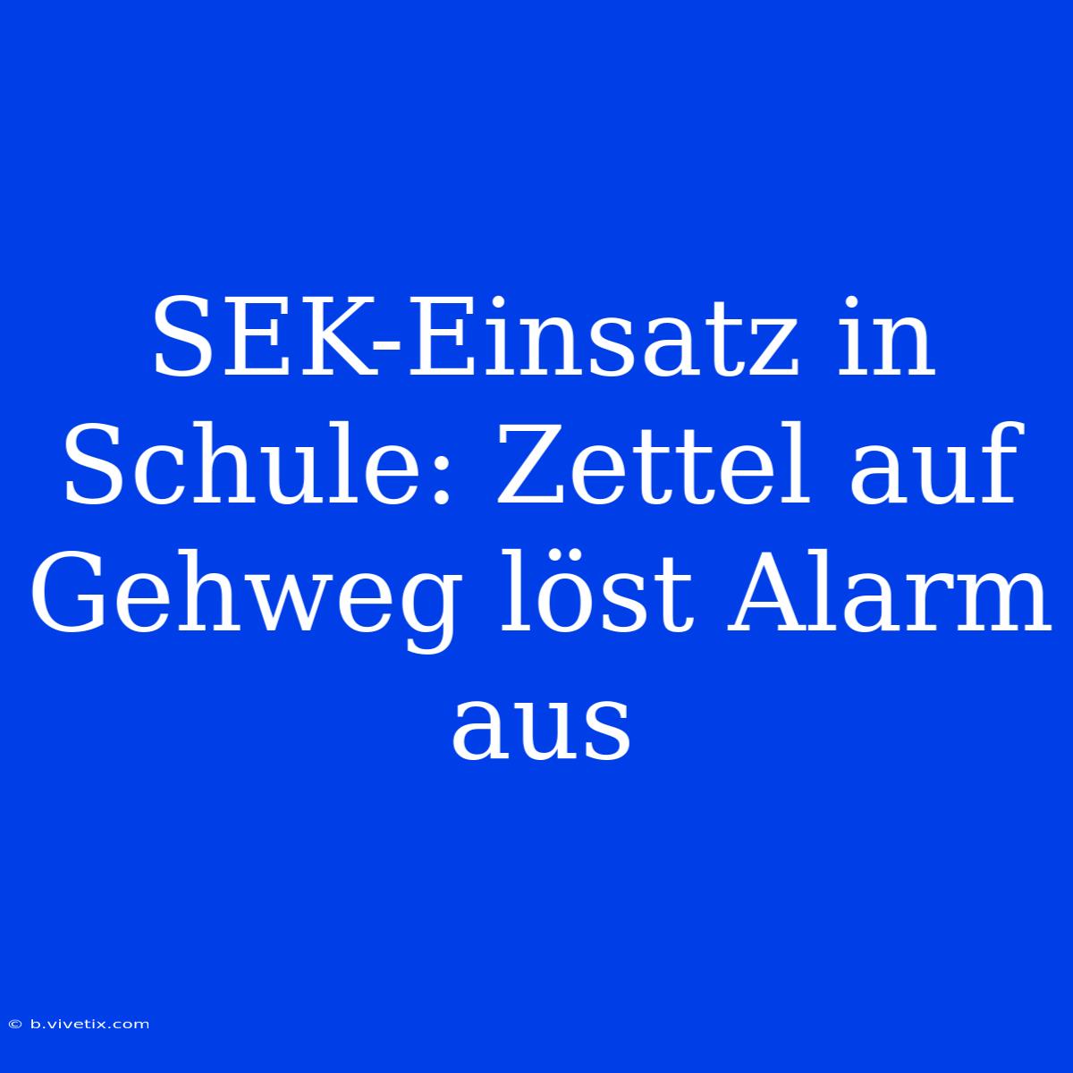 SEK-Einsatz In Schule: Zettel Auf Gehweg Löst Alarm Aus