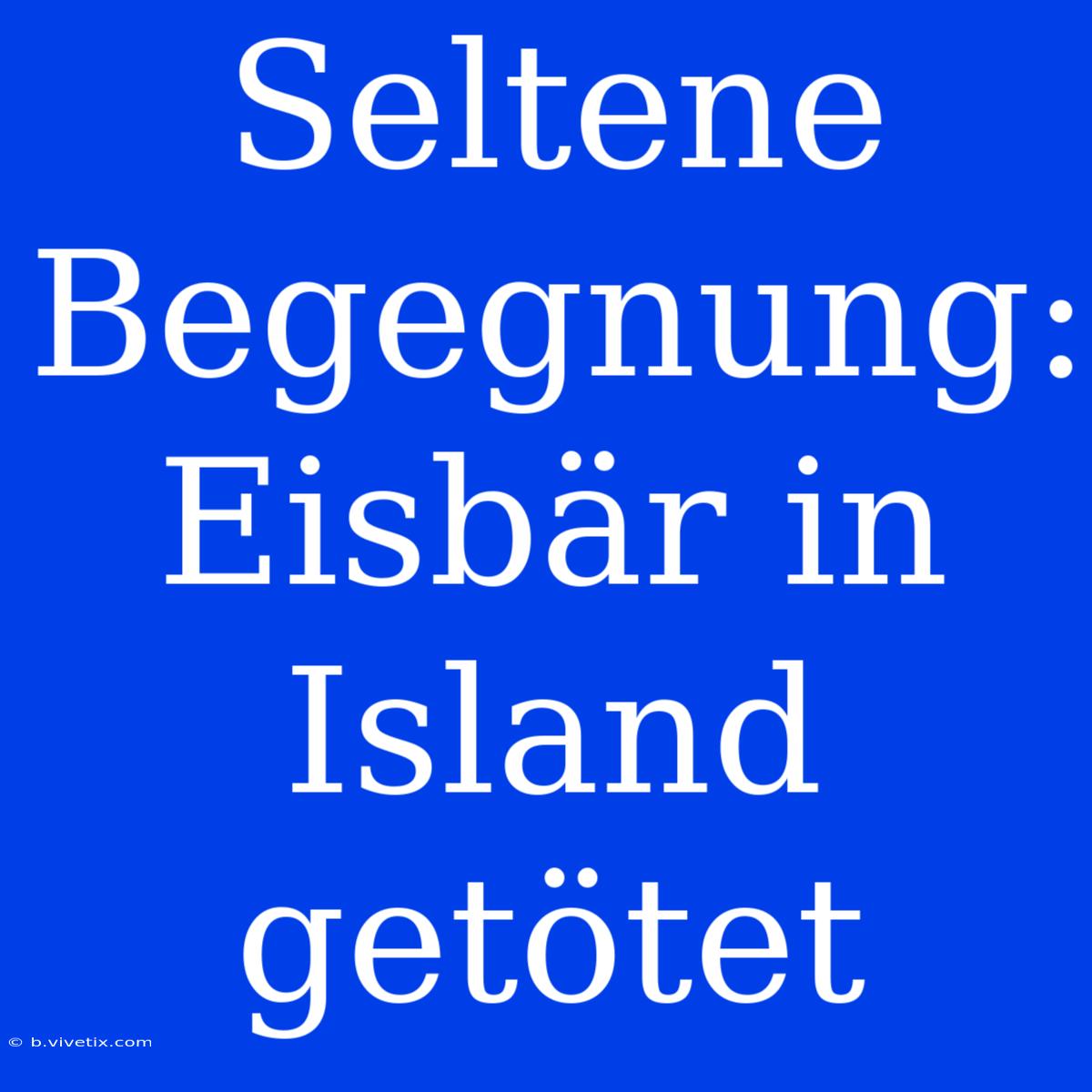 Seltene Begegnung: Eisbär In Island Getötet