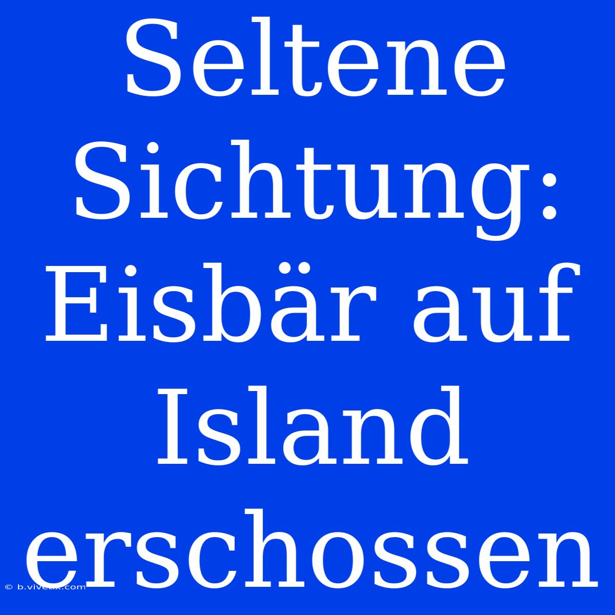 Seltene Sichtung: Eisbär Auf Island Erschossen