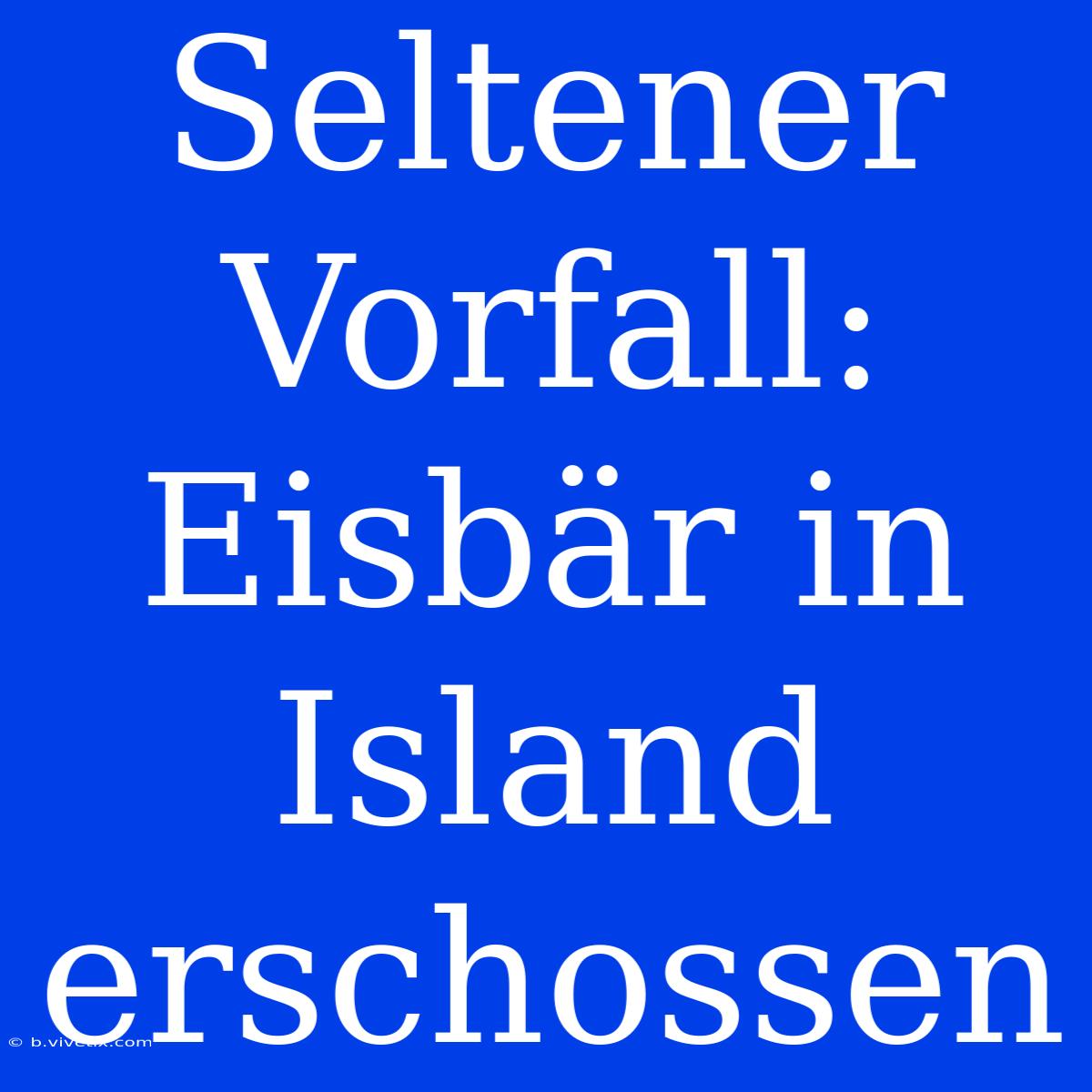 Seltener Vorfall: Eisbär In Island Erschossen