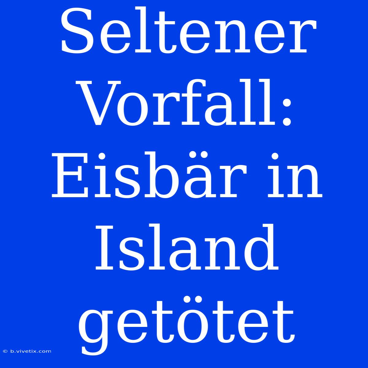 Seltener Vorfall: Eisbär In Island Getötet