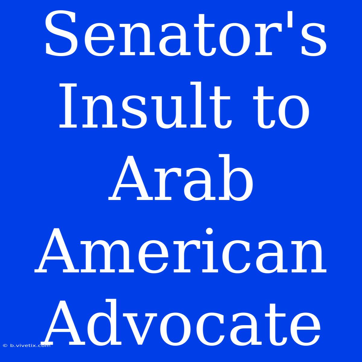 Senator's Insult To Arab American Advocate 