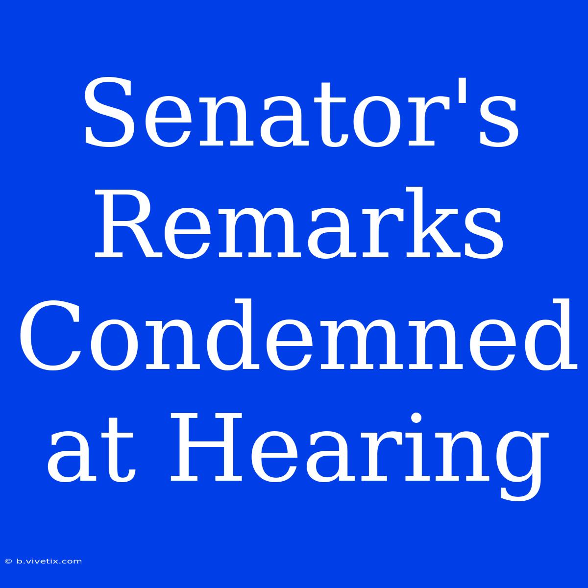 Senator's Remarks Condemned At Hearing