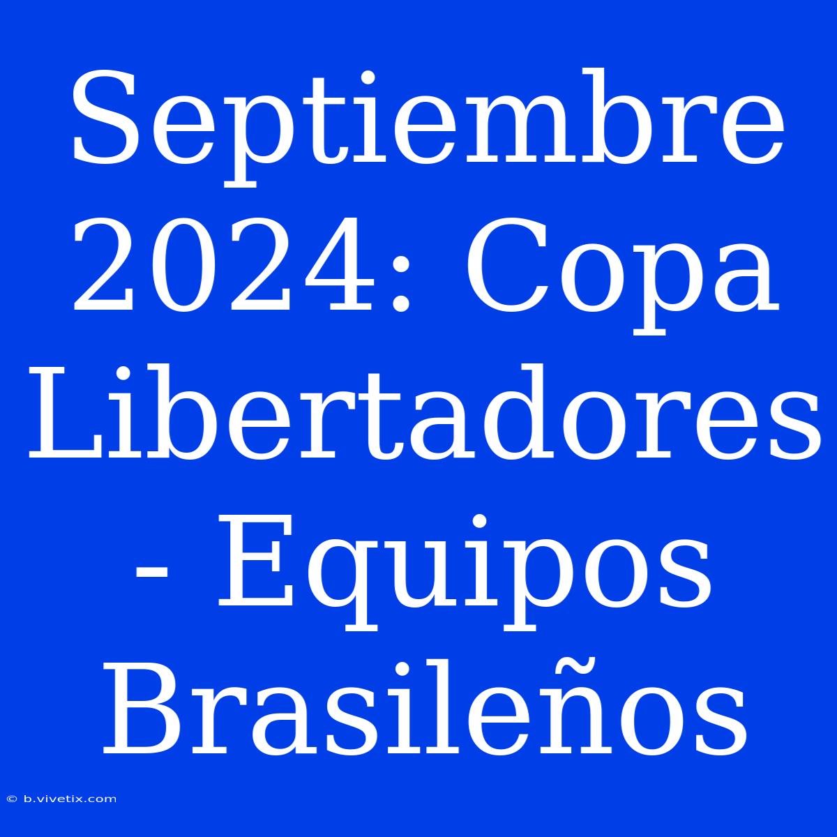 Septiembre 2024: Copa Libertadores - Equipos Brasileños