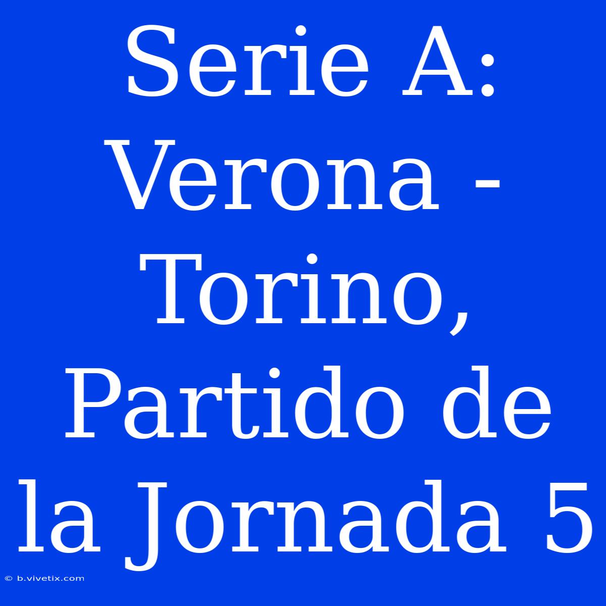 Serie A: Verona - Torino, Partido De La Jornada 5