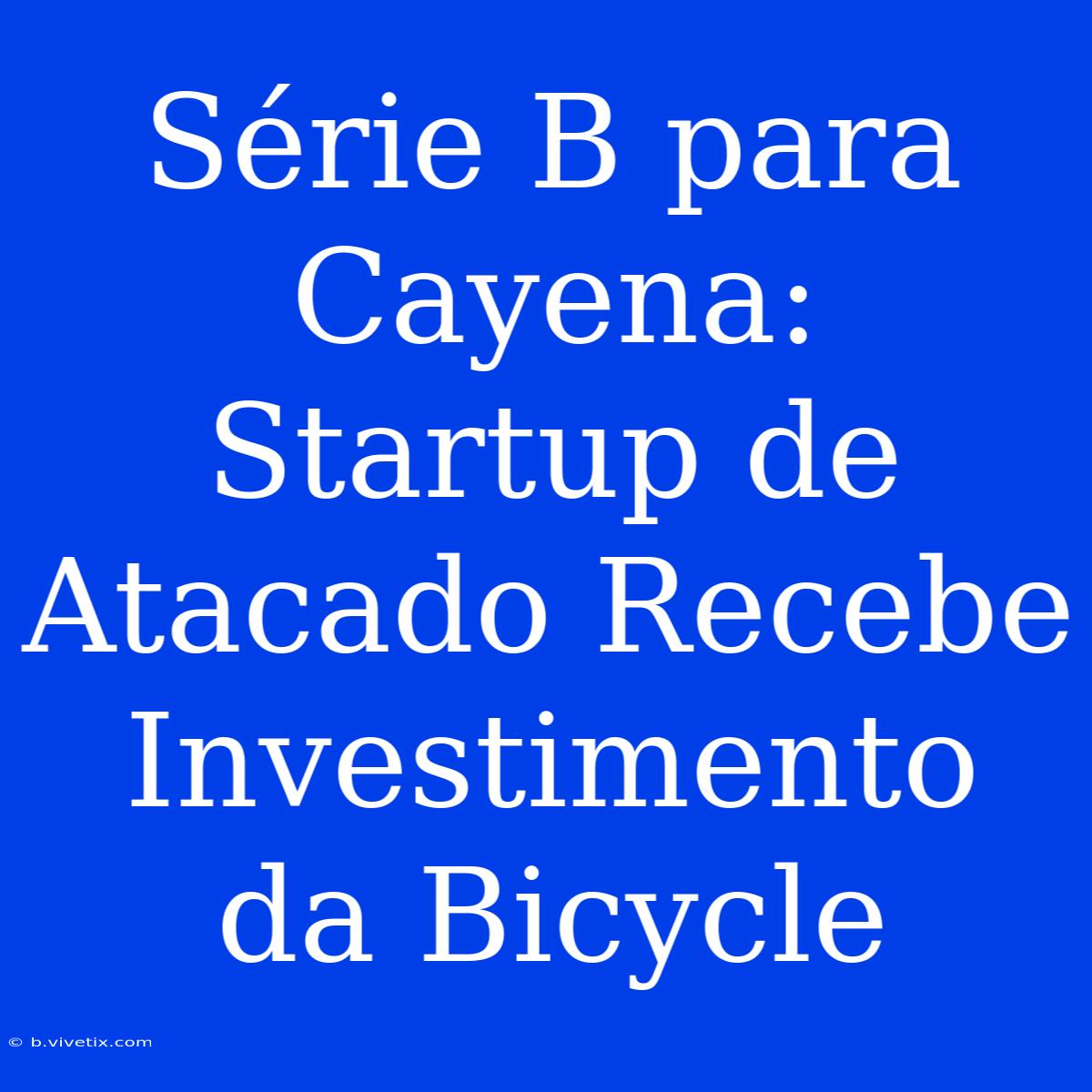 Série B Para Cayena: Startup De Atacado Recebe Investimento Da Bicycle