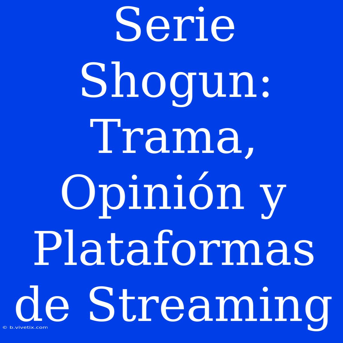 Serie Shogun: Trama, Opinión Y Plataformas De Streaming