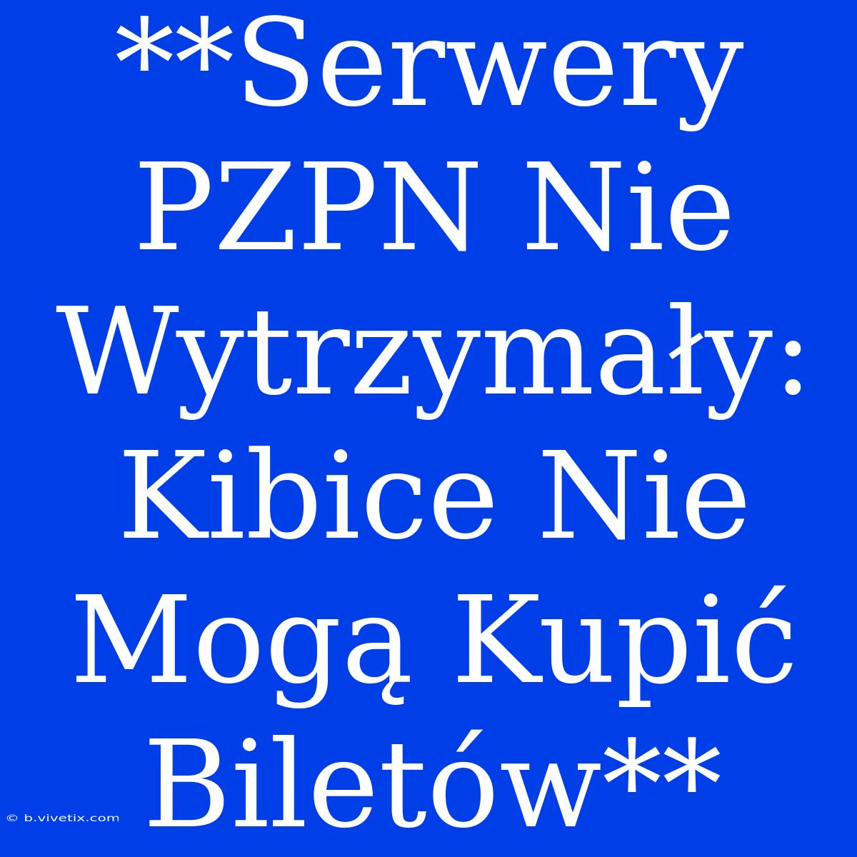 **Serwery PZPN Nie Wytrzymały: Kibice Nie Mogą Kupić Biletów** 