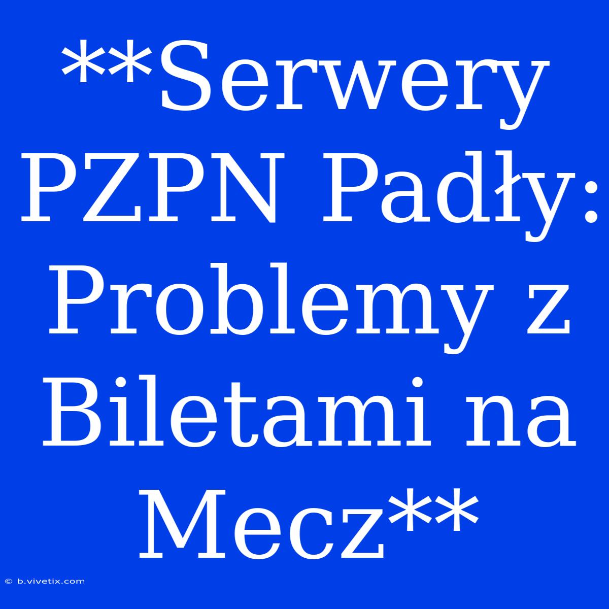 **Serwery PZPN Padły: Problemy Z Biletami Na Mecz**