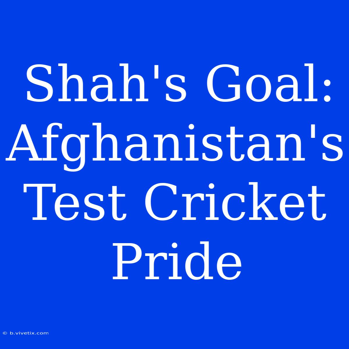 Shah's Goal:  Afghanistan's Test Cricket Pride