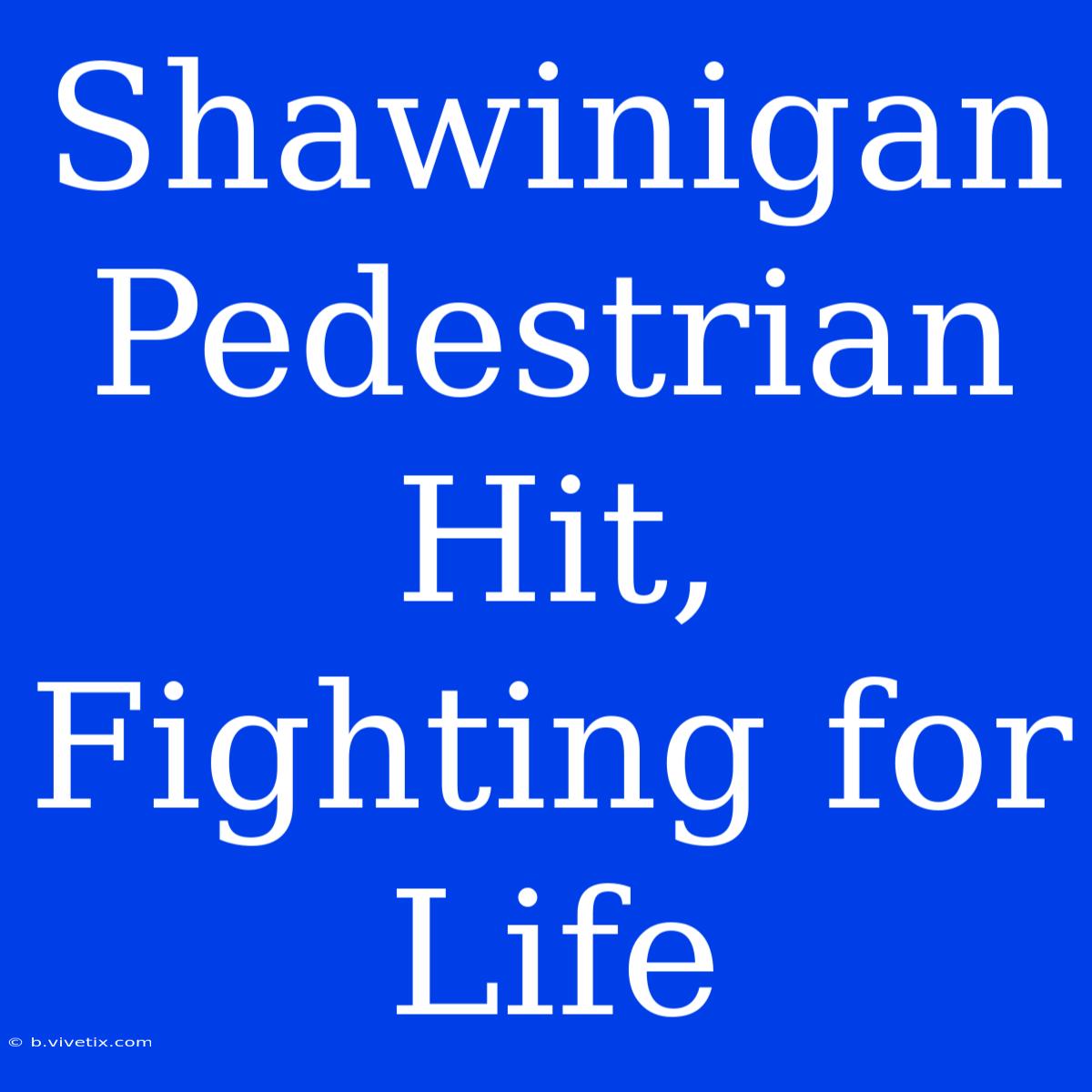 Shawinigan Pedestrian Hit, Fighting For Life