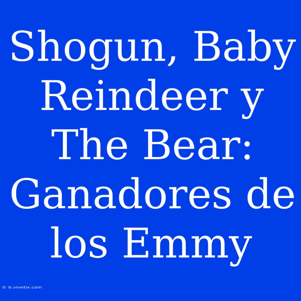 Shogun, Baby Reindeer Y The Bear: Ganadores De Los Emmy