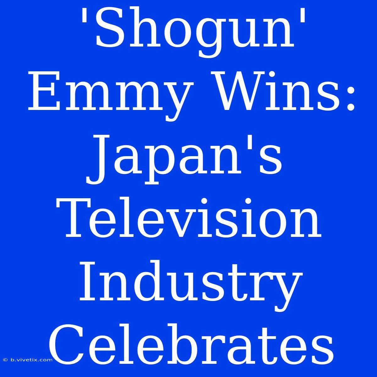 'Shogun' Emmy Wins: Japan's Television Industry Celebrates 