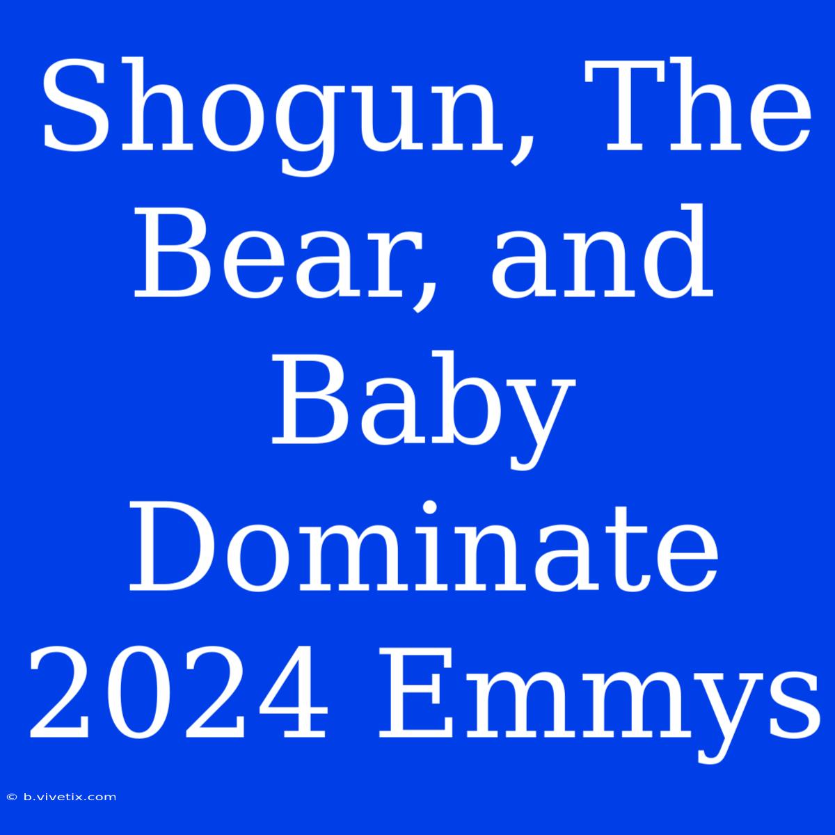 Shogun, The Bear, And Baby Dominate 2024 Emmys