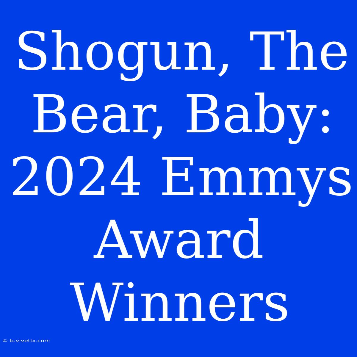 Shogun, The Bear, Baby: 2024 Emmys Award Winners