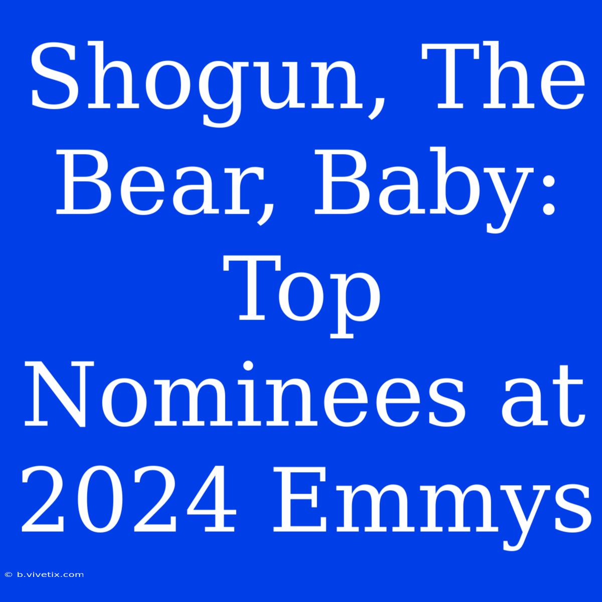 Shogun, The Bear, Baby: Top Nominees At 2024 Emmys