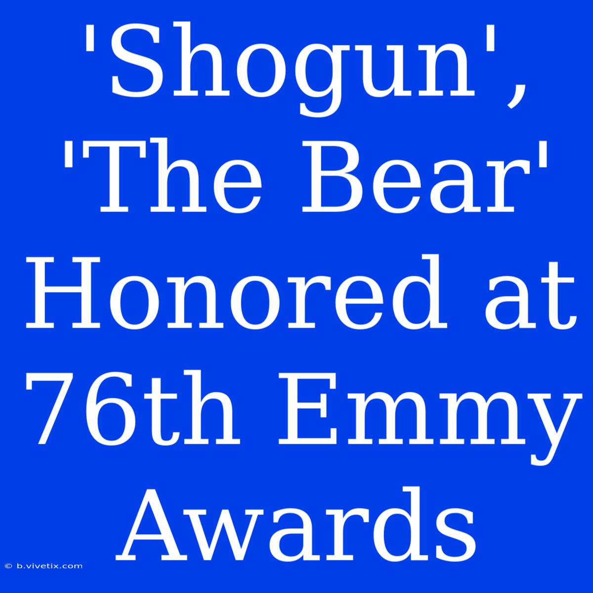 'Shogun', 'The Bear' Honored At 76th Emmy Awards