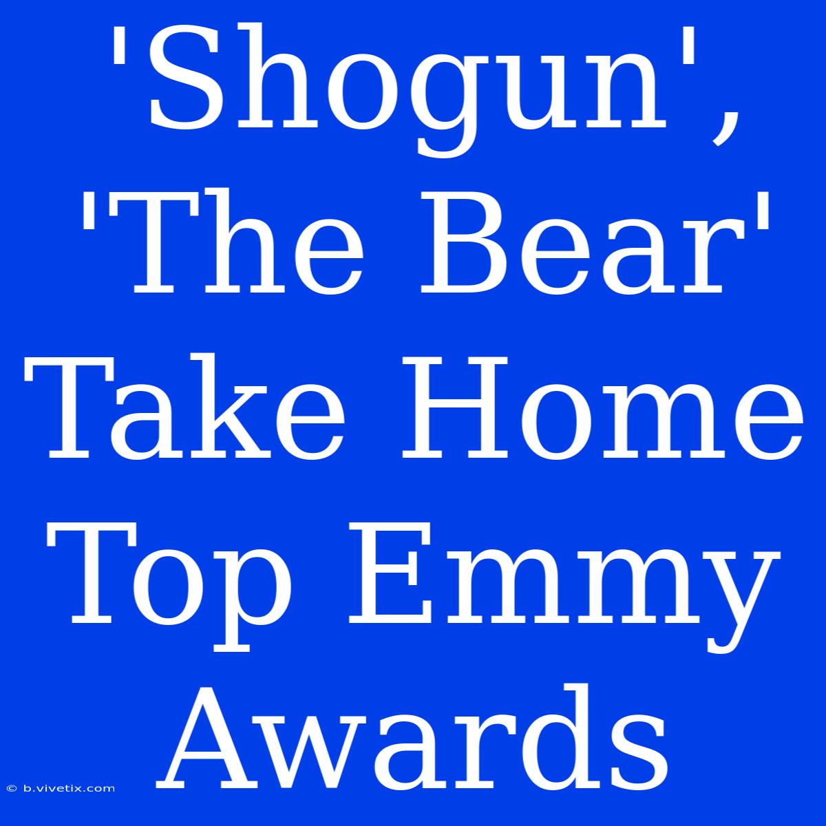 'Shogun', 'The Bear' Take Home Top Emmy Awards