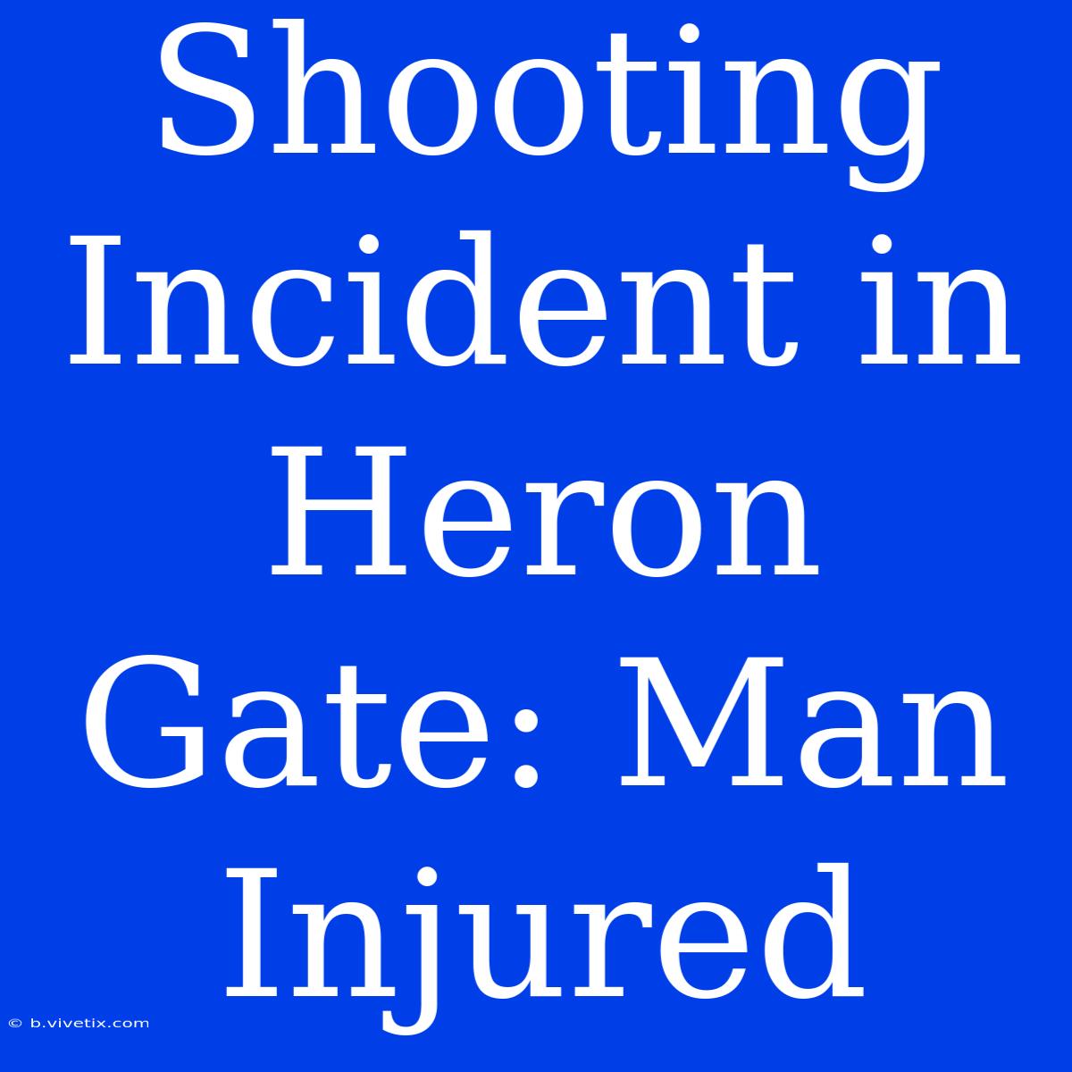 Shooting Incident In Heron Gate: Man Injured