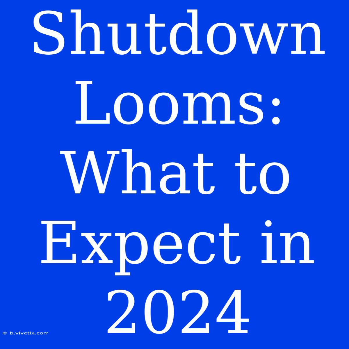 Shutdown Looms: What To Expect In 2024