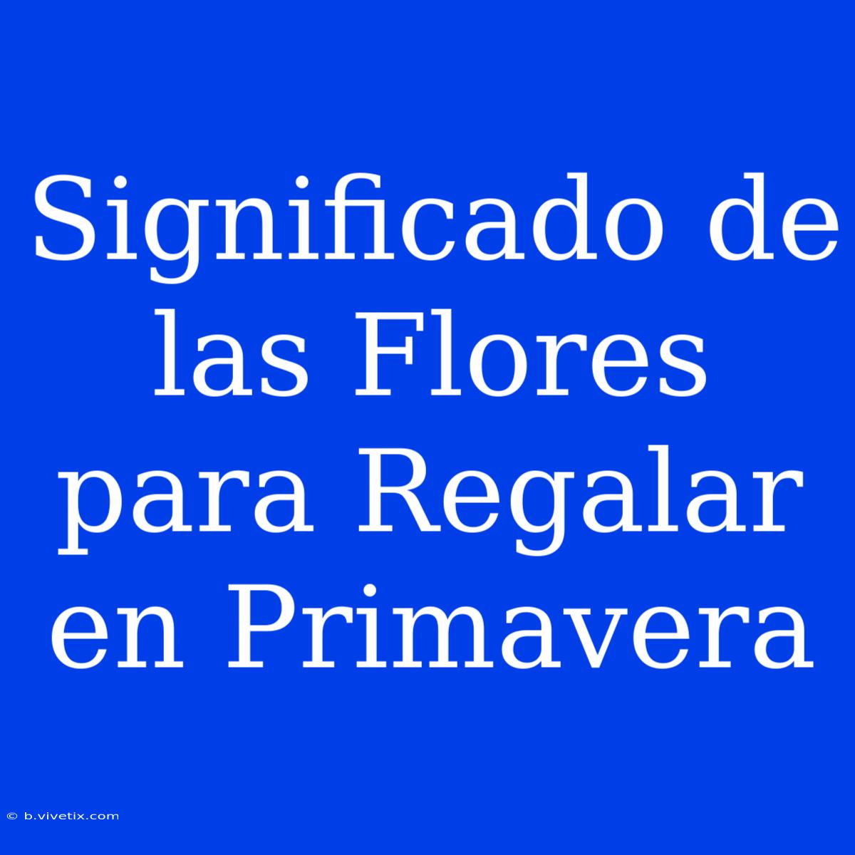 Significado De Las Flores Para Regalar En Primavera