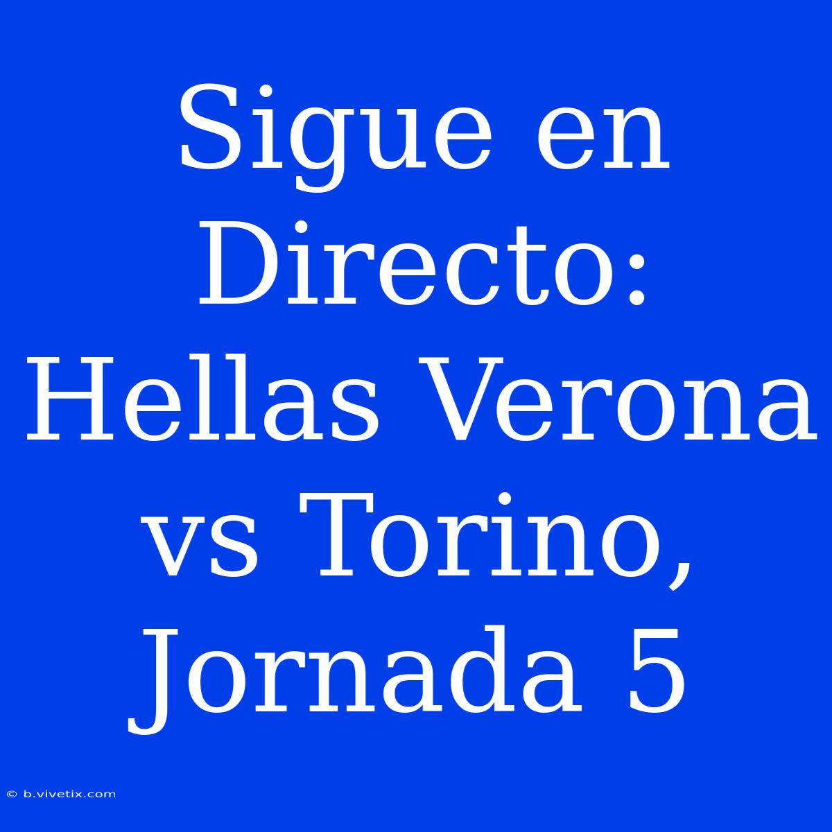 Sigue En Directo: Hellas Verona Vs Torino, Jornada 5