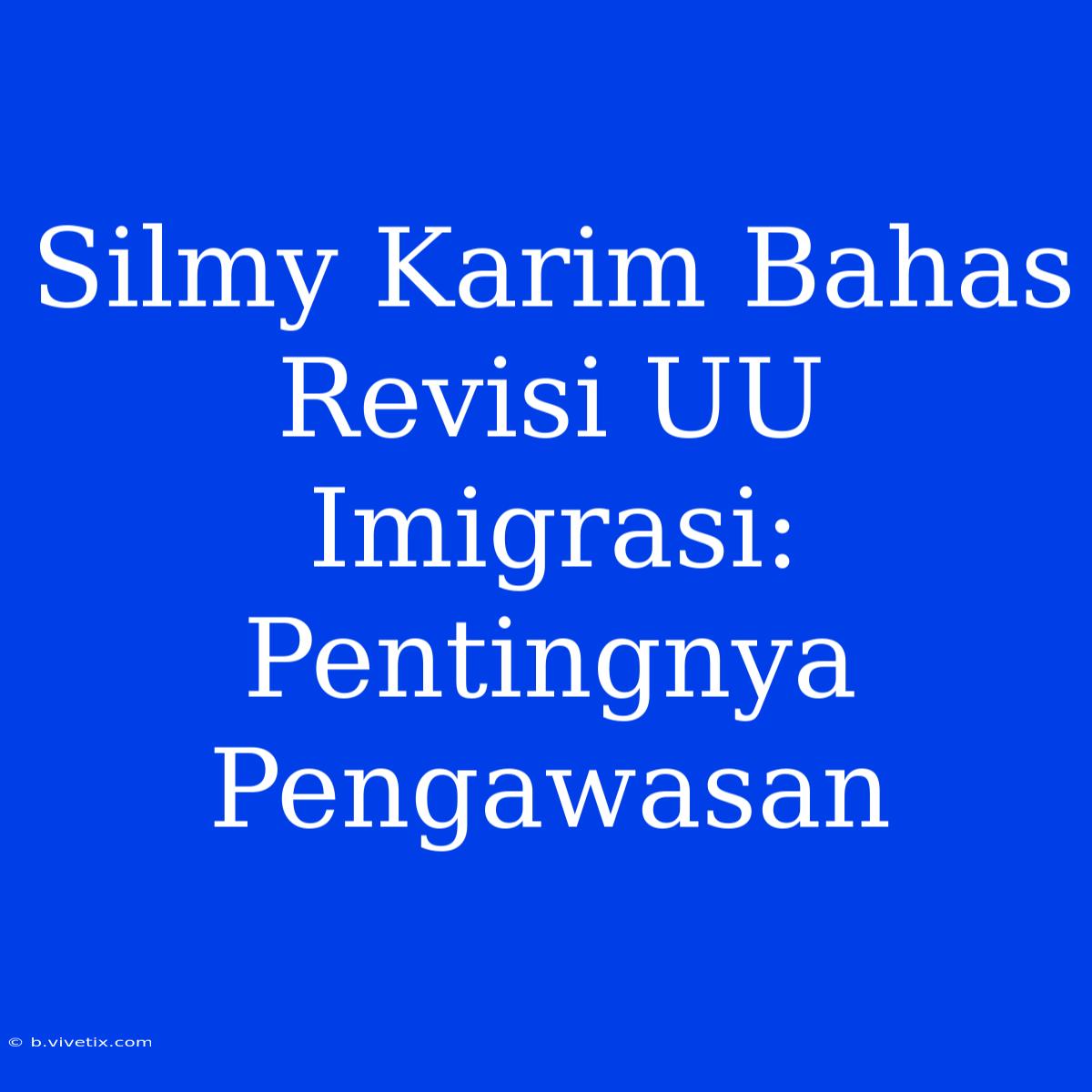 Silmy Karim Bahas Revisi UU Imigrasi: Pentingnya Pengawasan