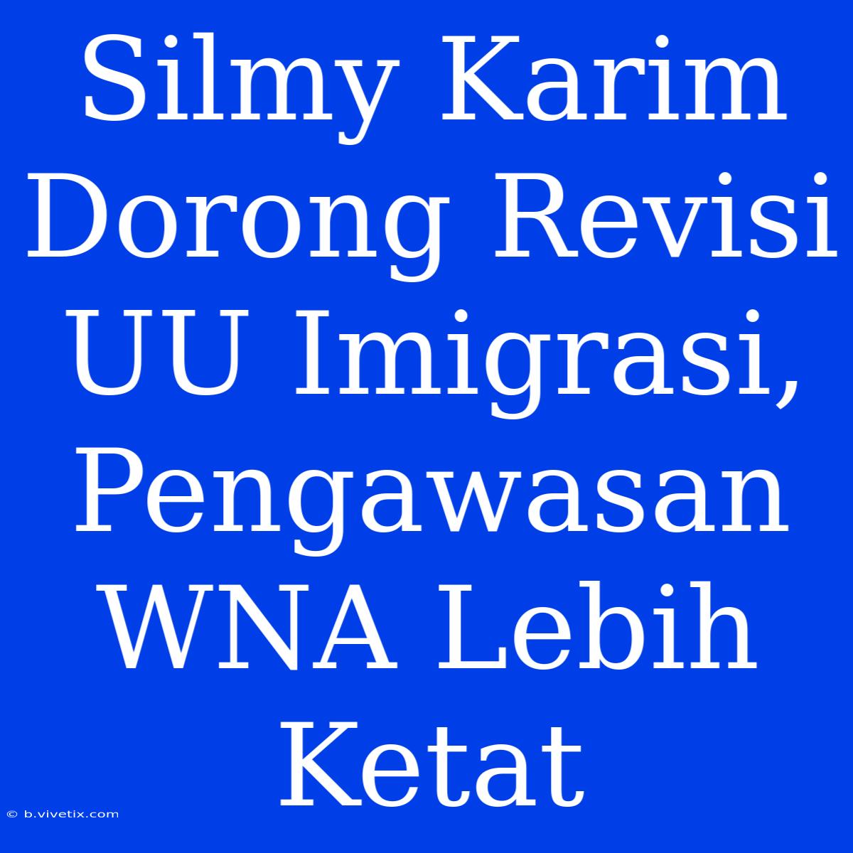 Silmy Karim Dorong Revisi UU Imigrasi, Pengawasan WNA Lebih Ketat