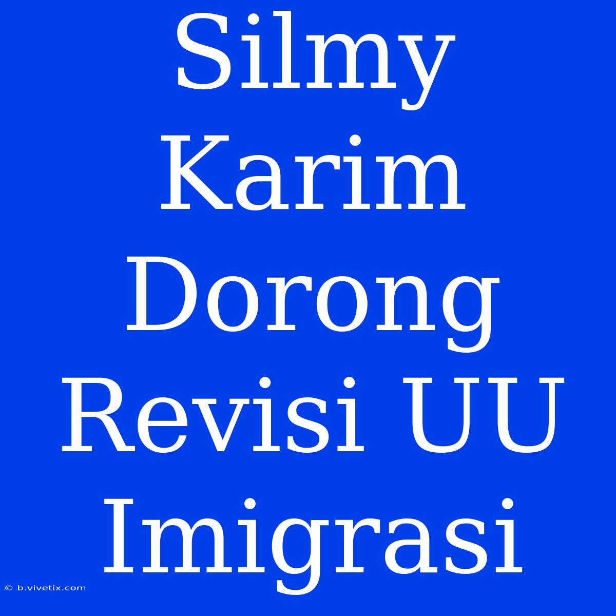 Silmy Karim Dorong Revisi UU Imigrasi 