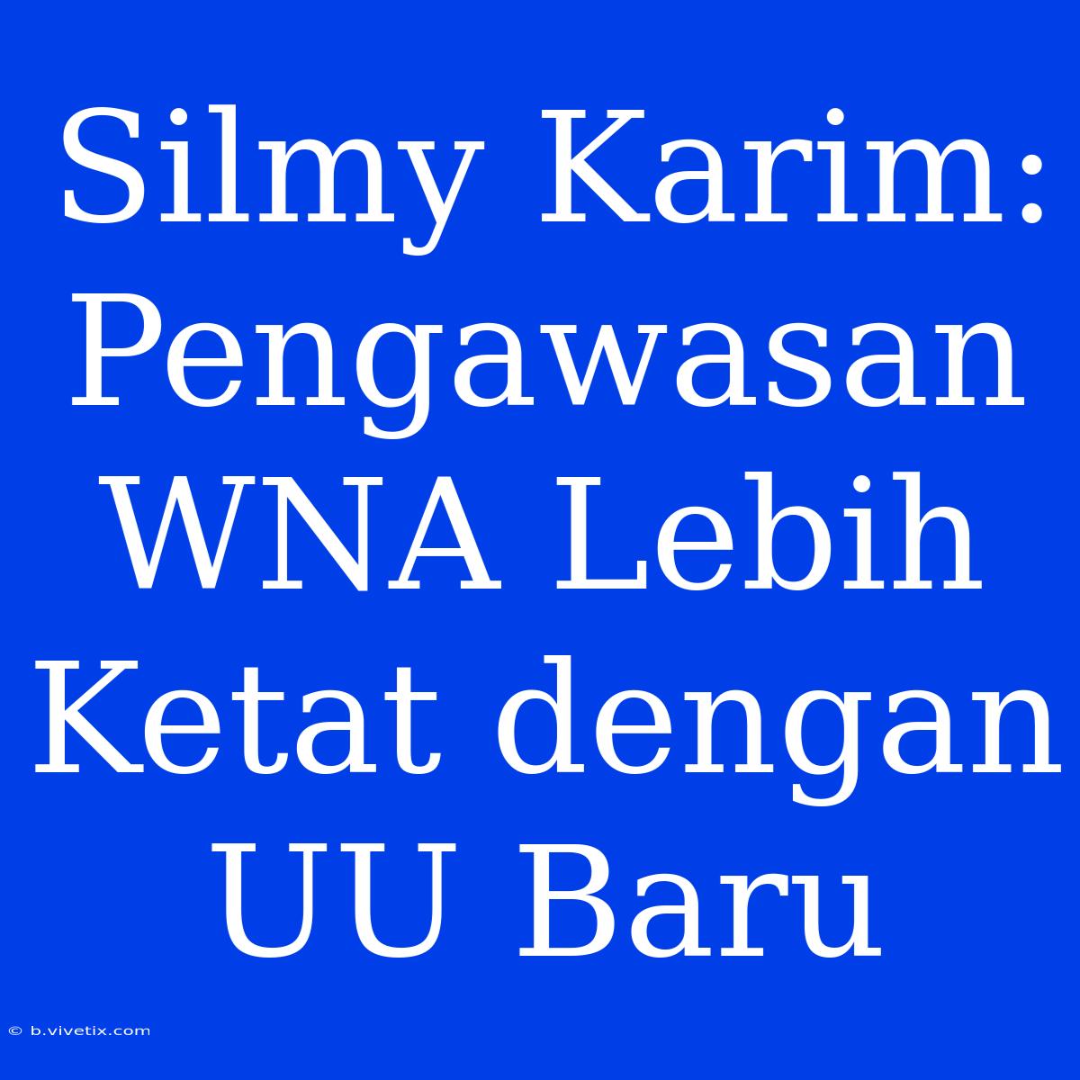 Silmy Karim: Pengawasan WNA Lebih Ketat Dengan UU Baru