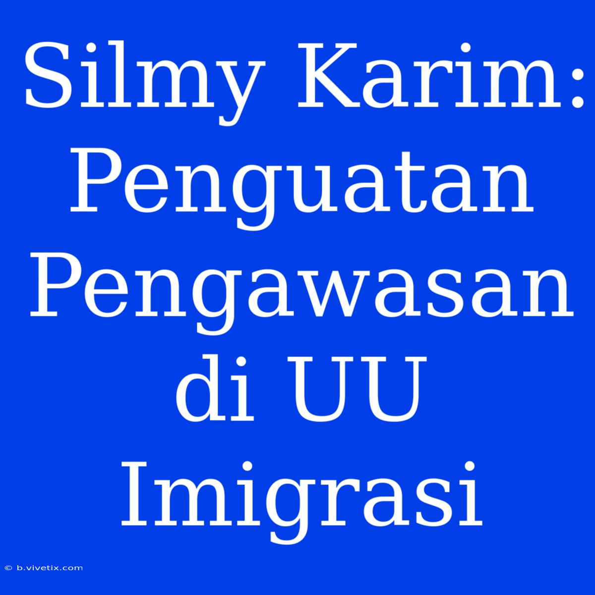 Silmy Karim: Penguatan Pengawasan Di UU Imigrasi