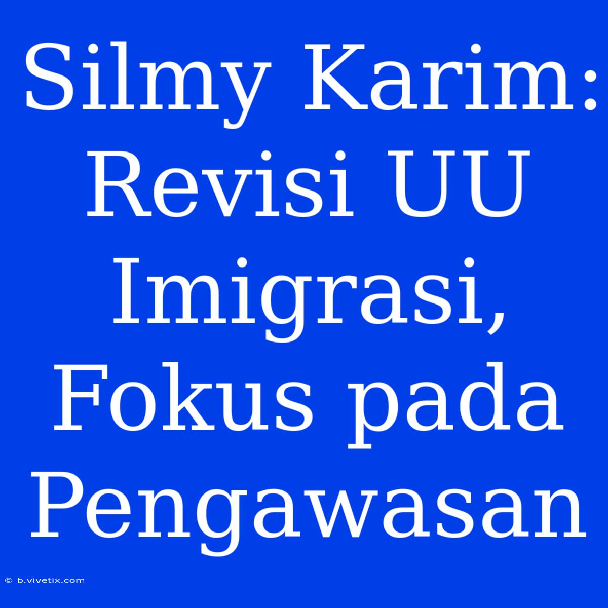 Silmy Karim: Revisi UU Imigrasi, Fokus Pada Pengawasan