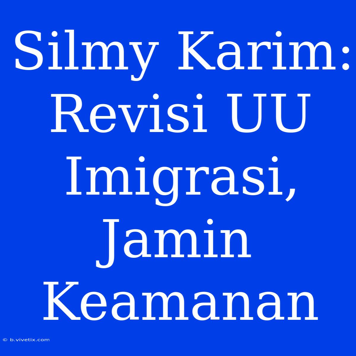 Silmy Karim: Revisi UU Imigrasi, Jamin Keamanan