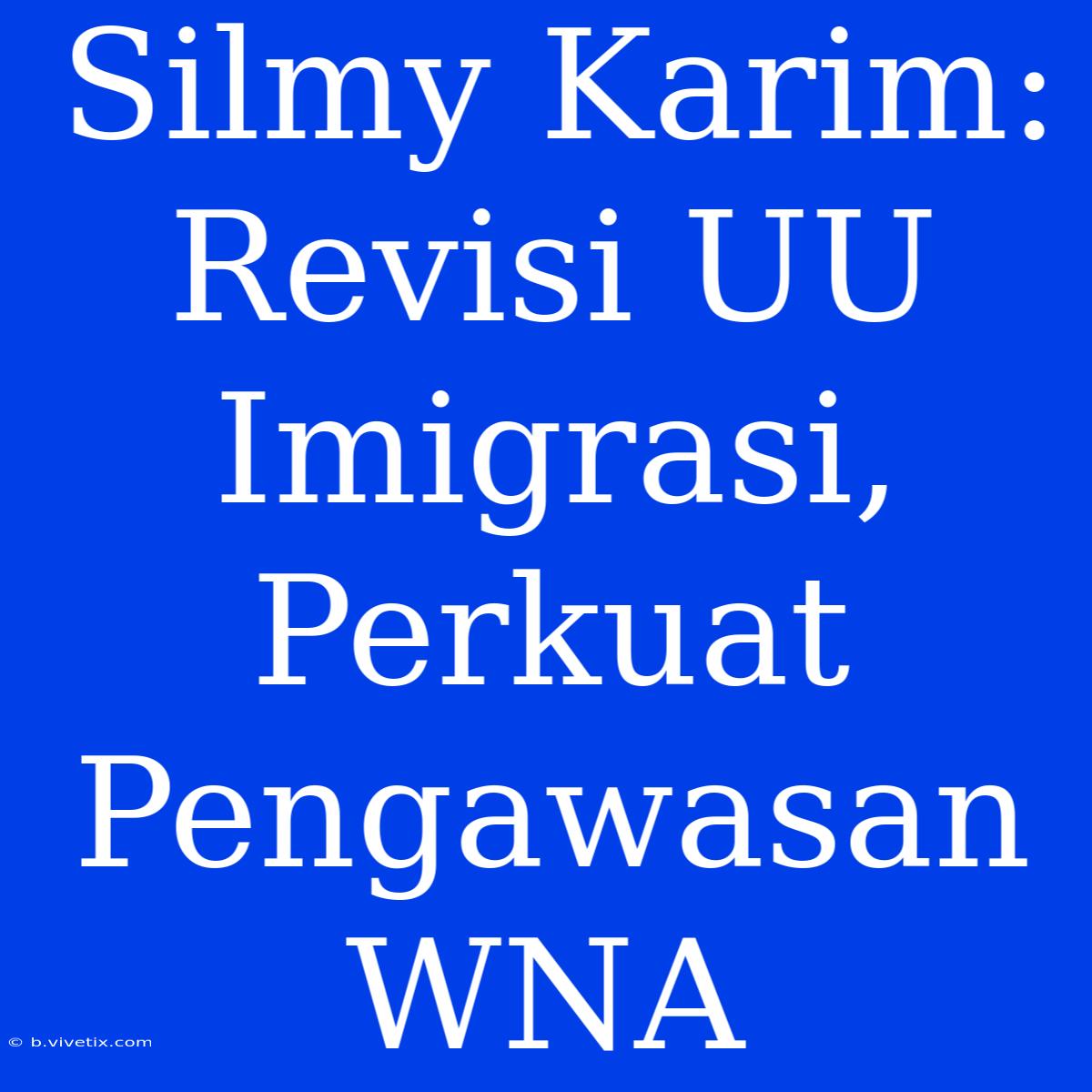 Silmy Karim: Revisi UU Imigrasi, Perkuat Pengawasan WNA