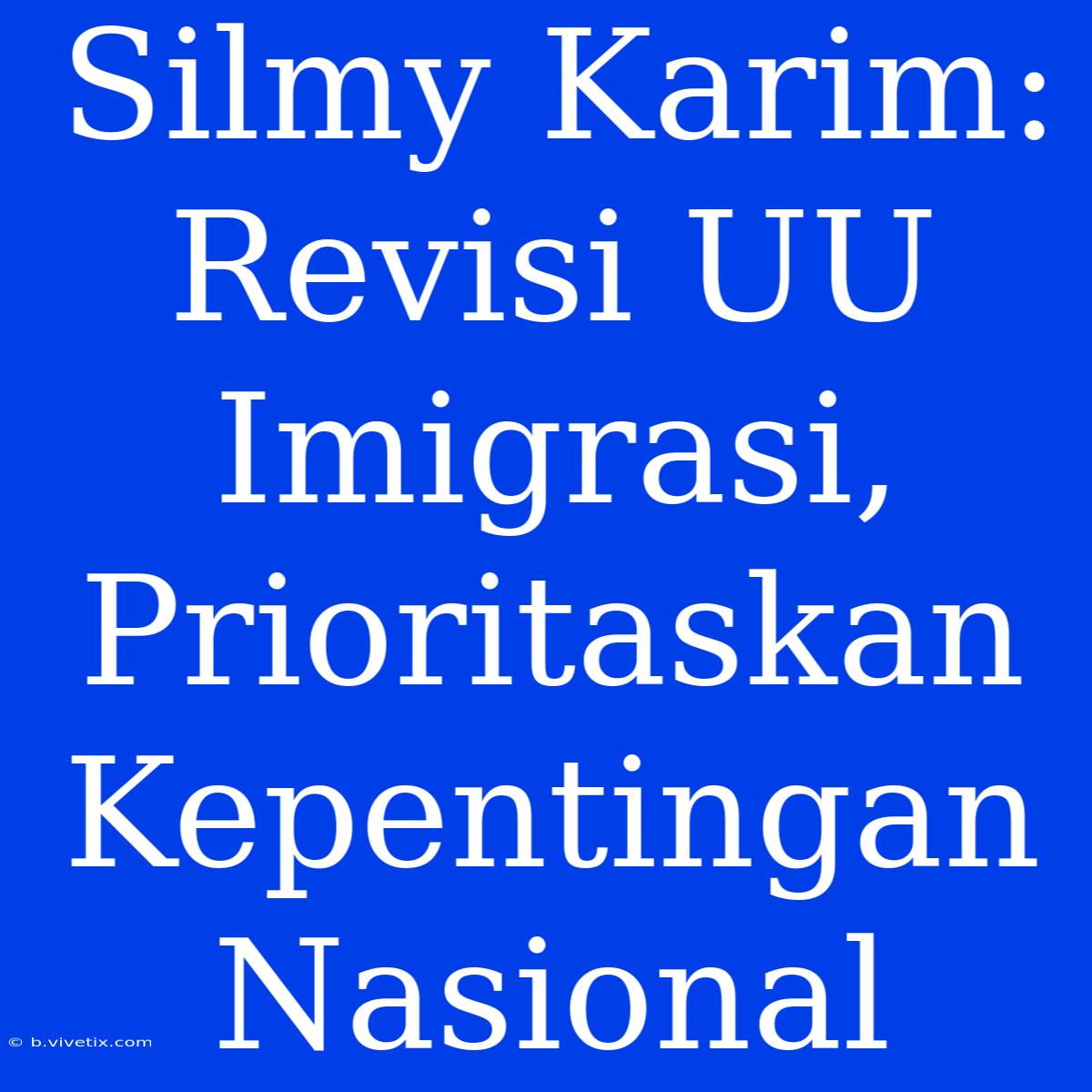 Silmy Karim: Revisi UU Imigrasi, Prioritaskan Kepentingan Nasional