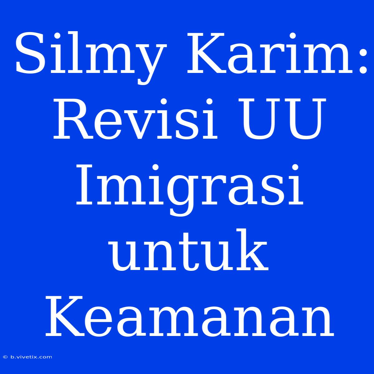 Silmy Karim: Revisi UU Imigrasi Untuk Keamanan