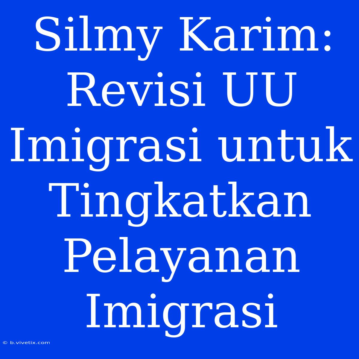 Silmy Karim: Revisi UU Imigrasi Untuk Tingkatkan Pelayanan Imigrasi